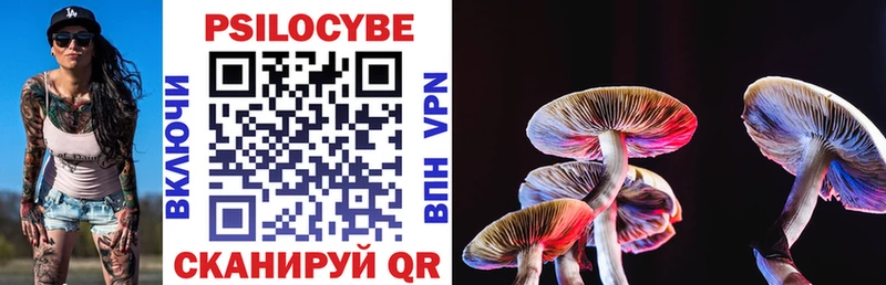 Псилоцибиновые грибы MAGIC MUSHROOMS  Бологое 